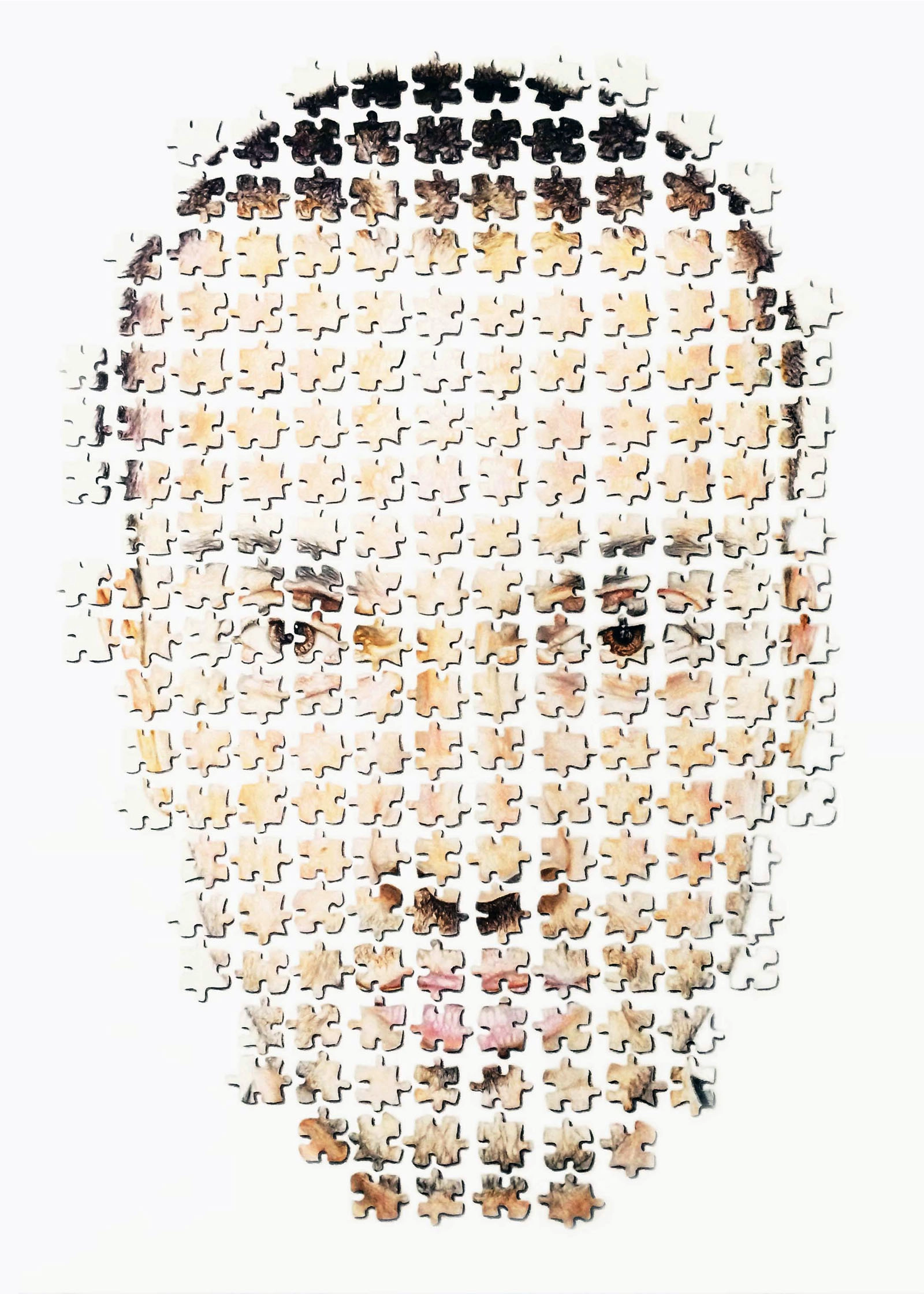 Opera Puzzle Ossessivo-compulsivo con volto simmetrico e parti mancanti