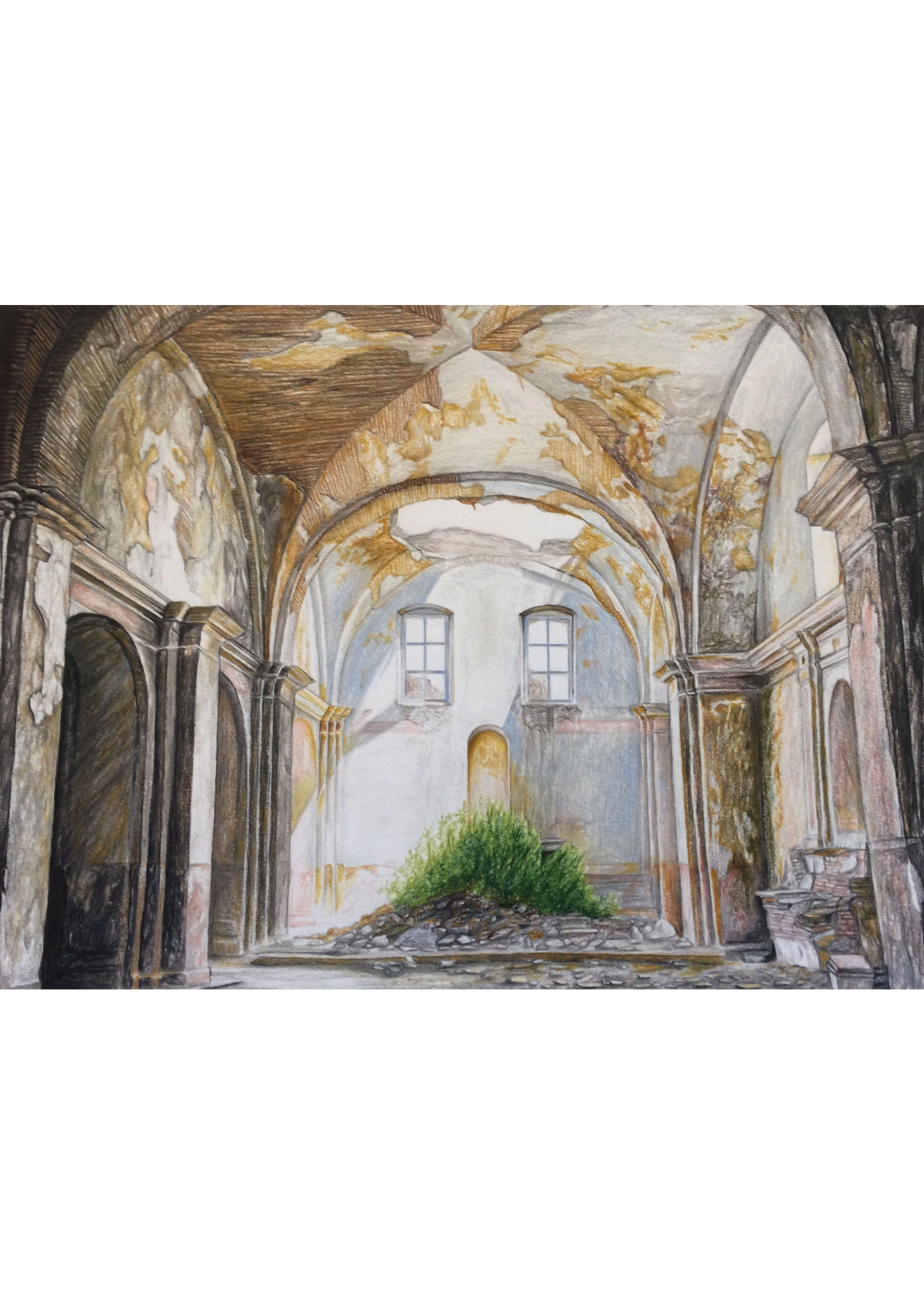 Interno della Chiesa Madre di Craco con vegetazione sotto il tetto aperto